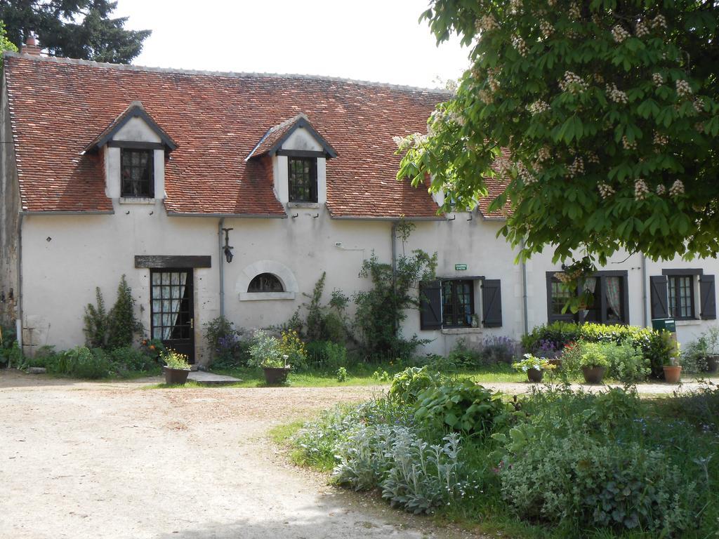 B&B La Ferme Des Bordes Pontlevoy Ngoại thất bức ảnh